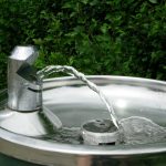 Fontaine à eau ou purificateur : quelles différences de prix et d’efficacité ?