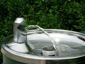 Fontaine à eau ou purificateur : quelles différences de prix et d’efficacité ?