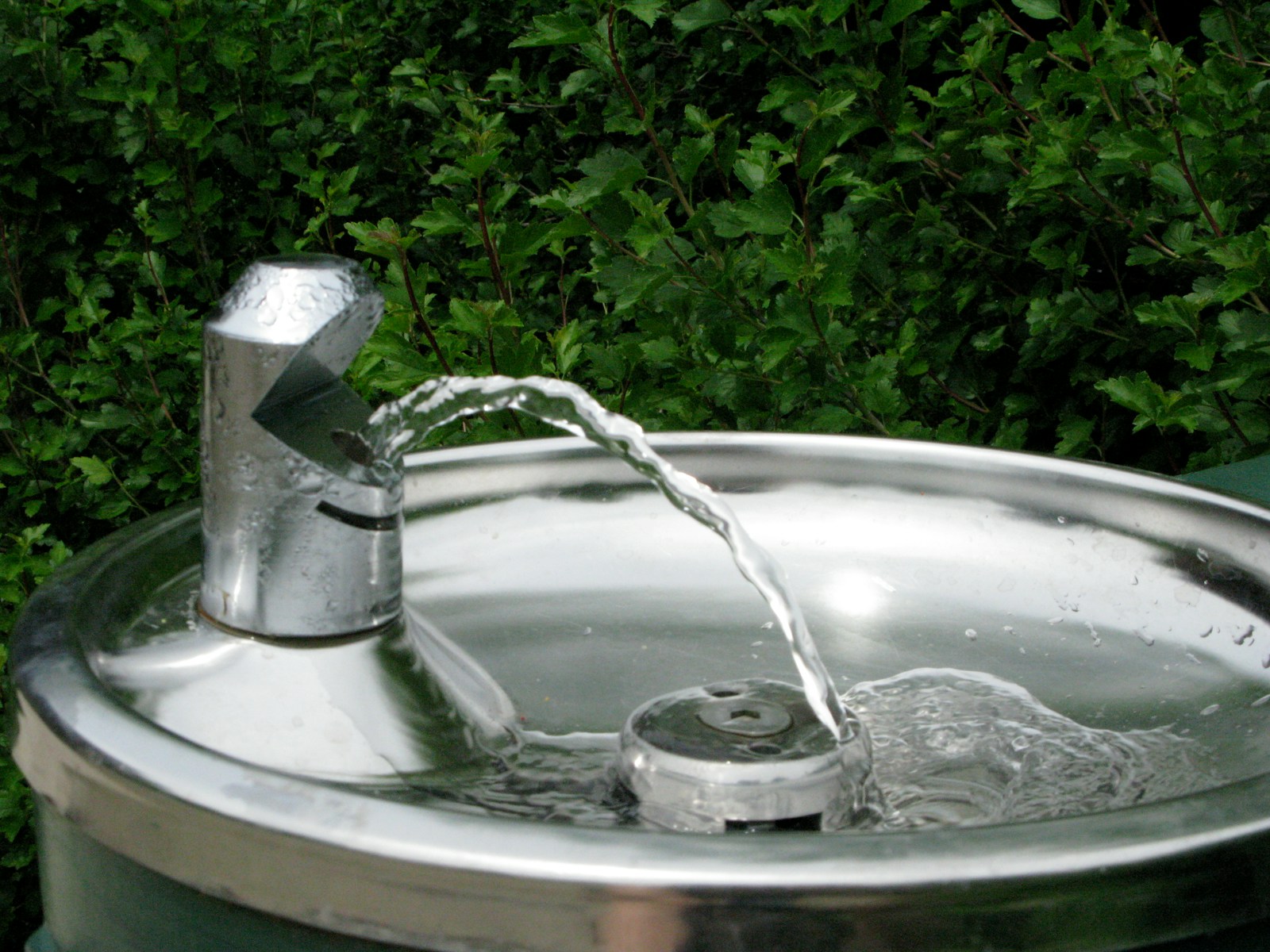 Fontaine à eau ou purificateur : quelles différences de prix et d’efficacité ?